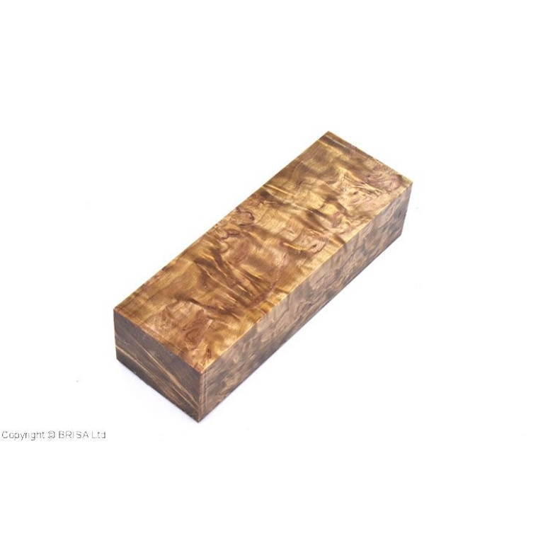 Bloc Curly Birch Tan - Stabilisé